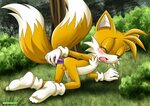 Tails The Fox Porn - Porn Sex Photos